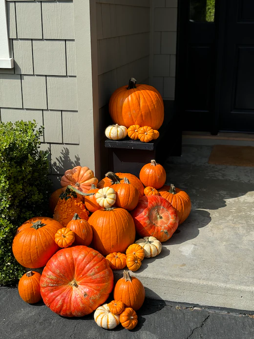 Package #2: Gourd-geous Touches - Image 2
