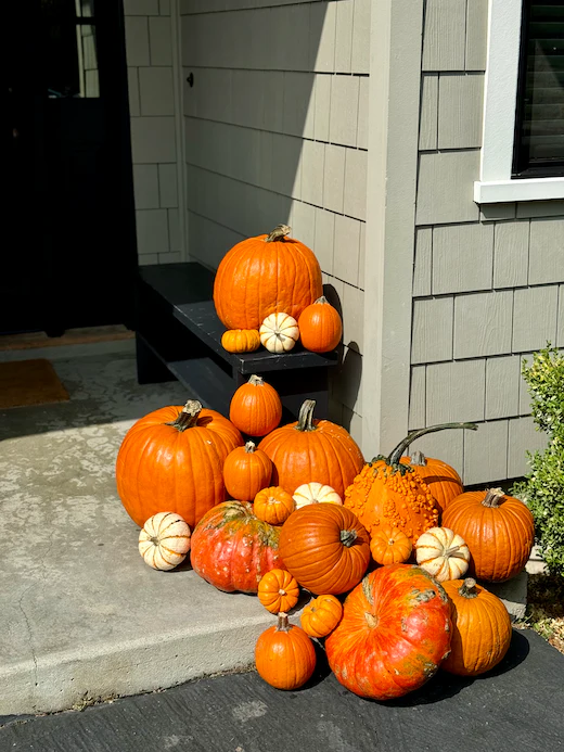 Package #2: Gourd-geous Touches - Image 3