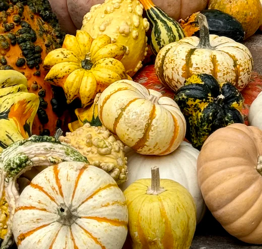 Package #2: Gourd-geous Touches - Image 5
