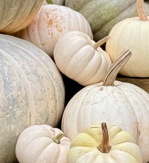 Package #2: Gourd-geous Touches - Image 6