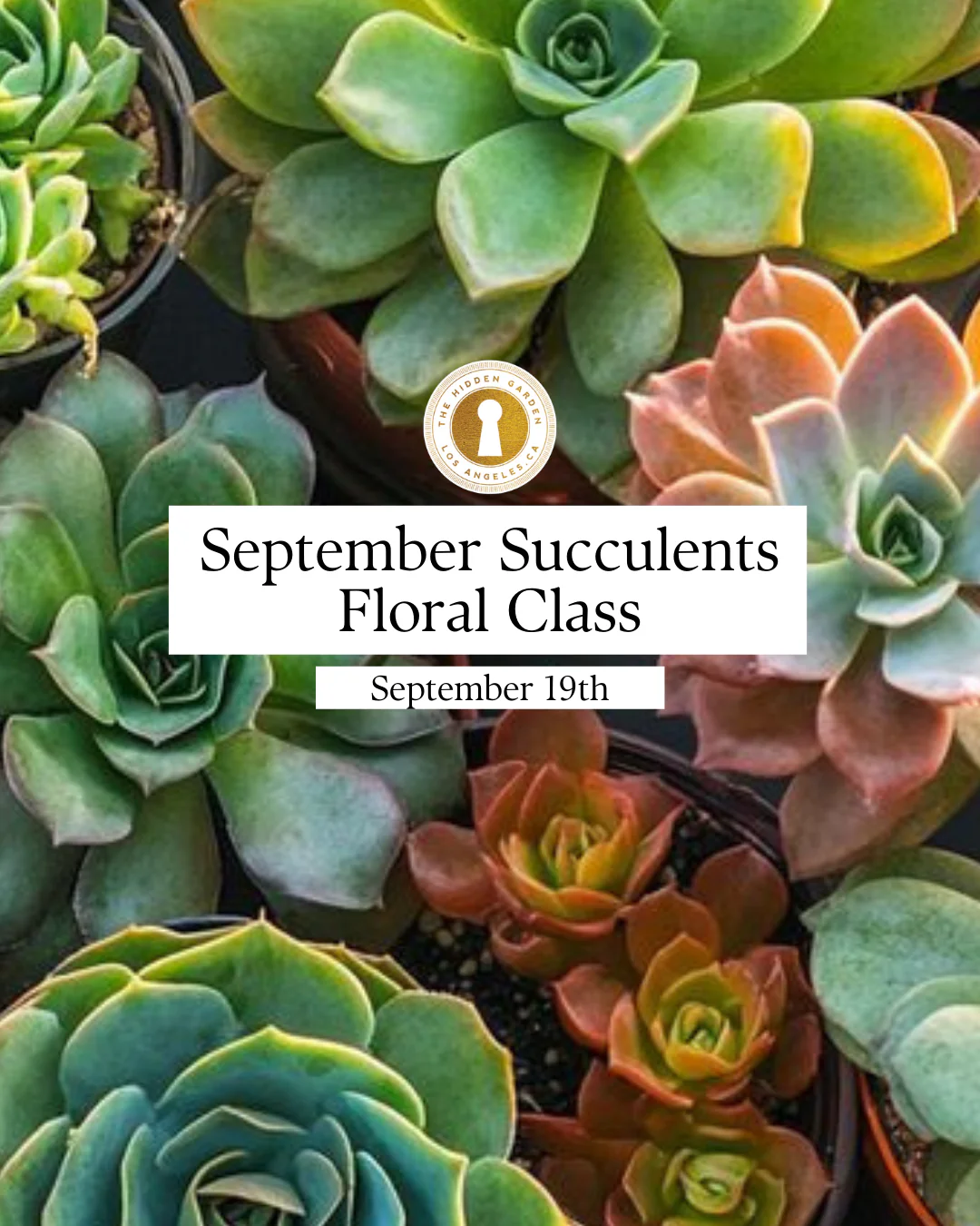 SEPTEMBER SUCCULENTS Floral Workshop