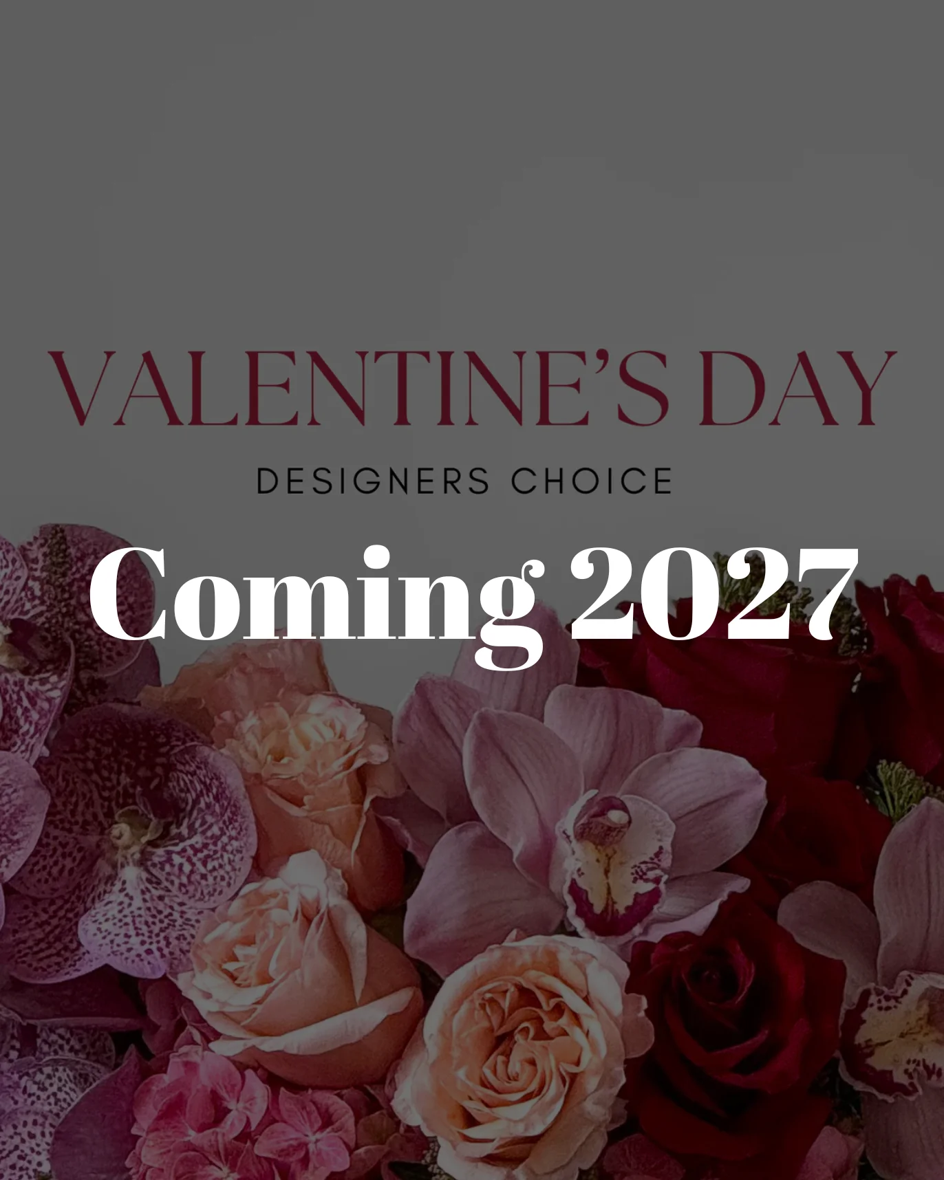 Valentine's Day Designer's Choice